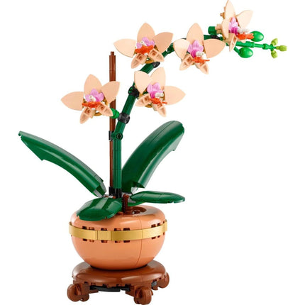 LEGO® Botanicals 10343 Miniatur-Orchidee