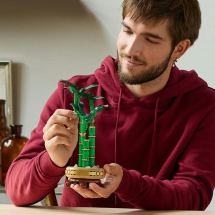 LEGO® Botanicals 10344 Glücksbambus