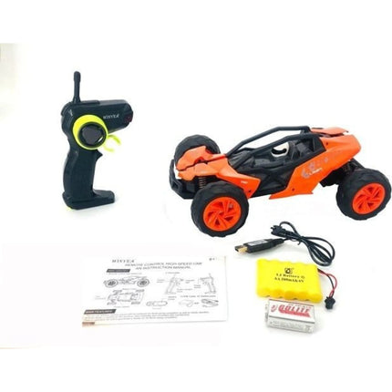 Schneller Buggy 1 : 14