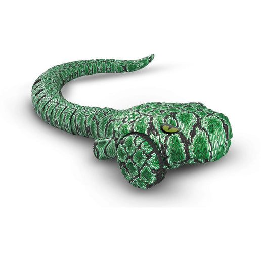 RC amphibischer Leguan
