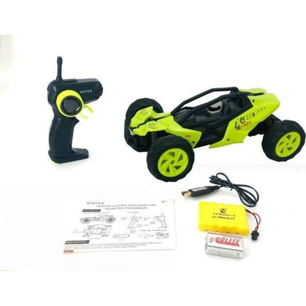 Schneller Buggy 1 : 14
