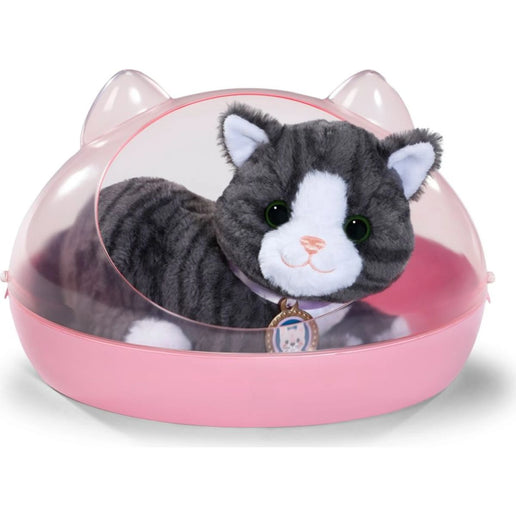 BABY born Katze Cookie mit Transportbox