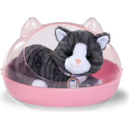 BABY born Katze Cookie mit Transportbox