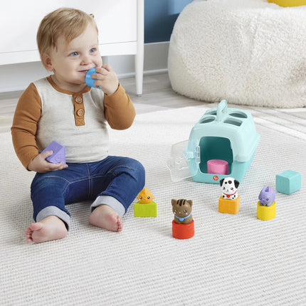 Fisher-Price Steckspiel mit Tierchen