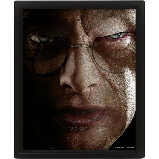 3D-Bild Harry vs. Voldemort - Harry Potter