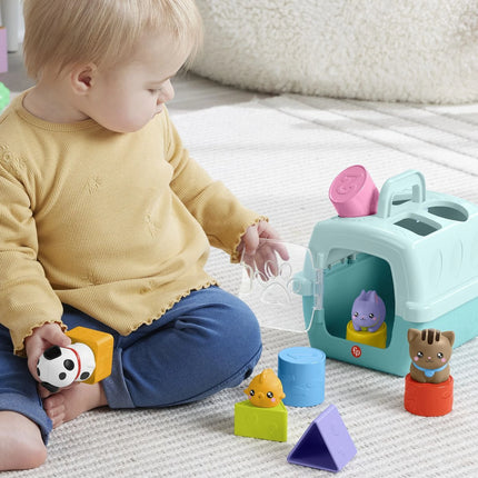 Fisher-Price Steckspiel mit Tierchen