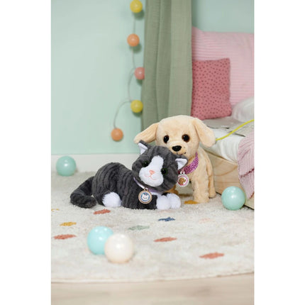 BABY born Katze Cookie mit Transportbox