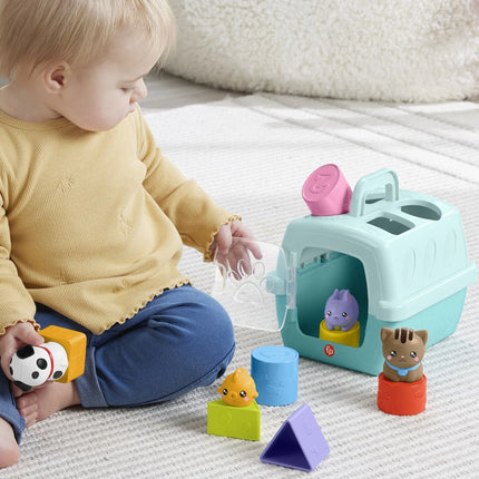 Fisher-Price Steckspiel mit Tierchen