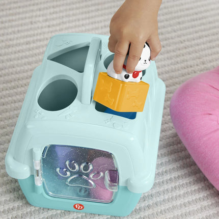 Fisher-Price Steckspiel mit Tierchen