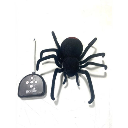 RC-Spinne Schwarze Witwe