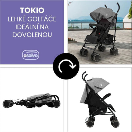 Asalvo Buggy Tokio 6 m – 15 kg anthracite