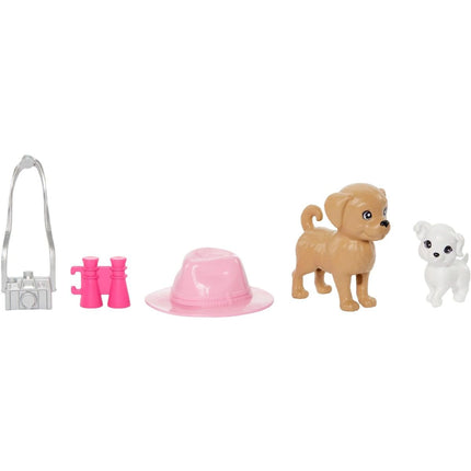 Barbie and Stacie to the Rescue Doppelpack Puppen mit Hündchen und Zubehör