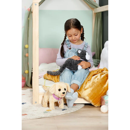 BABY born Katze Cookie mit Transportbox